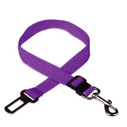 PetSecure Adjustable Car Leash